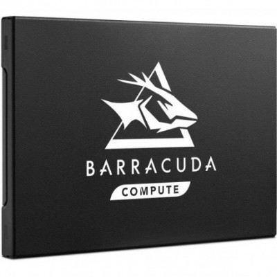 BARRACUDA SSD Q1 960 GO
